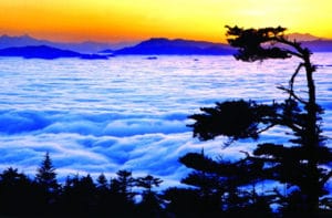 C:\siteweb\ccc-paris.org\files\Dossier_Le_Mont_Emei_3.jpg