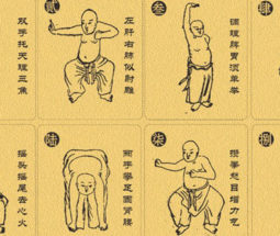 Stage de Qigong