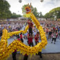 世界各地共情中国新年 Joyeux nouvel an chinois - célébration dans le monde