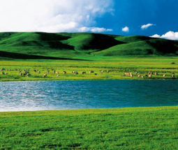 Exposition photographies – Les beautés de la nature en Chine