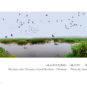 Zone humide aux mille îles du lac Weishan (municipalité Xuzhou)