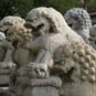45.故宫-石狮 Lions en pierre