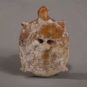 4.玉龟1 Tortue en jade