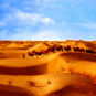 12.沙漠探险 Exploration désertique