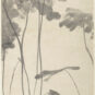 11 荷花 朱耷 纸本水墨 甲戌（1694年）120×50cm 中国美术馆藏 Fleurs de lotus ; Zhu Da, eau et encre sur papier, an Jiaxu (1694), 120 × 50 cm, fonds du Musée national d’art de Chine