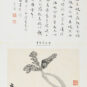 11／14 齐白石 萝卜 1945年 24.9×33.8cm 中国美术馆藏 11/14- Qi Baishi ; Radis, 1945, 24,9 × 33,8 cm, fonds du Musée national d’art de Chine