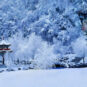 05本溪1冬游本溪水洞，洞内温暖如春，洞外雾凇婆娑 Benxi - Voyage hivernal aux grottes aquatiques de Benxi, à l’intérieur des grottes douceur telle le printemps, à l’extérieur, danse du givre.