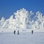 10哈尔滨太阳岛雪雕博览会 Exposition internationale d'art de sculpture sur neige de Sun Island
