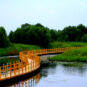 20黑瞎子岛湿地公园 Parc de la zone humide de l'île de Heixiazi