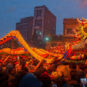 7.《龙气十足》杜春森 摄  « La danse frénétique du dragon doré » Guo Guangling