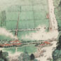 14．钱松嵒（1899—1986） QIAN Songyan 《锦绣江南鱼米乡》 Campagne du Jiangnan, brocart de poisson et de riz 中国画 纸本 117cm×67.5cm 1972 中国美术馆藏