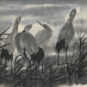 18．林风眠（1900—1991） LIN Fengmian 《四鹭》 Quatre hérons 中国画 纸本 67cm×66.4cm 1959 中国美术馆藏