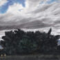 24．陈坚（1959-） CHEN Jian《有树的风景》 Paysage avec arbres 水彩 纸本 57cm×76cm 2016 中国美术馆藏