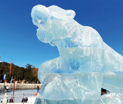 Découvrir les beautés de la glace et de la neige en Chine