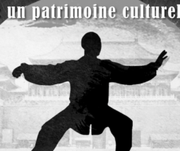 Stage de Taijiquan-24 postures