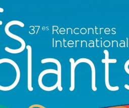 37ème édition des Rencontres internationales de cerfs-volants de Berck-sur-Mer