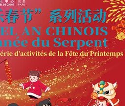讲座《中国古代文化中蛇的象征意义》