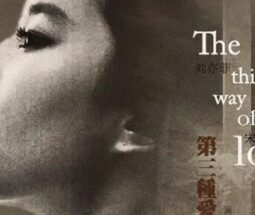 Cinéma : The Third Way of Love