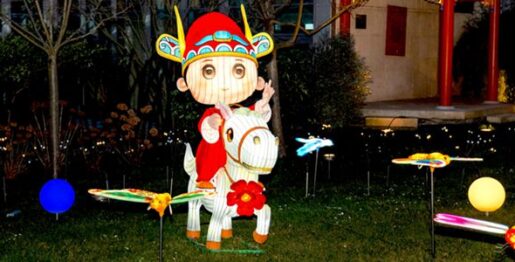 “欢乐春节”系列活动之“小状元骑马”庭院彩灯