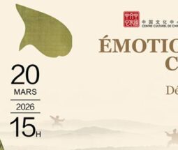 《武动情·文入心》中华武术精品展演