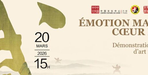 Demonstrations exception art martial chinois 3